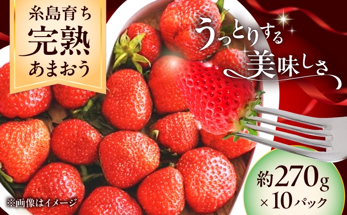 
                  【先行予約】福岡県 糸島市産 完熟 あまおう いちご （約270g×10パック）【2027年3月以降順次発送】  / 苺 イチゴ / 糸島市 / mhshops [AKQ008]
                