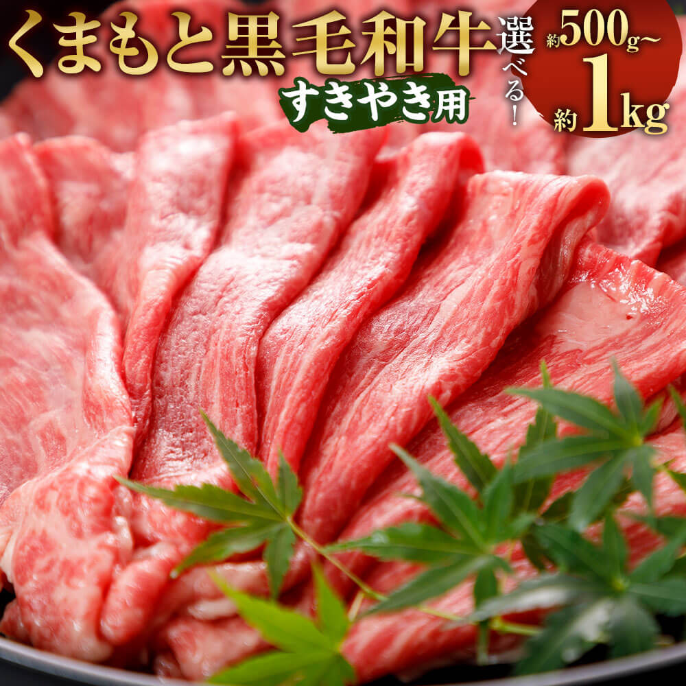 【ふるさと納税】＜選べる 容量＞くまもと黒毛和牛 すきやき用 約500g/約1kg 1000g ブランド 和牛 黒毛和牛 熊本県産 九州産 国産 牛肉 スライス 黒毛和種 お肉 肉 すき焼き すき焼き 冷凍 送料無料