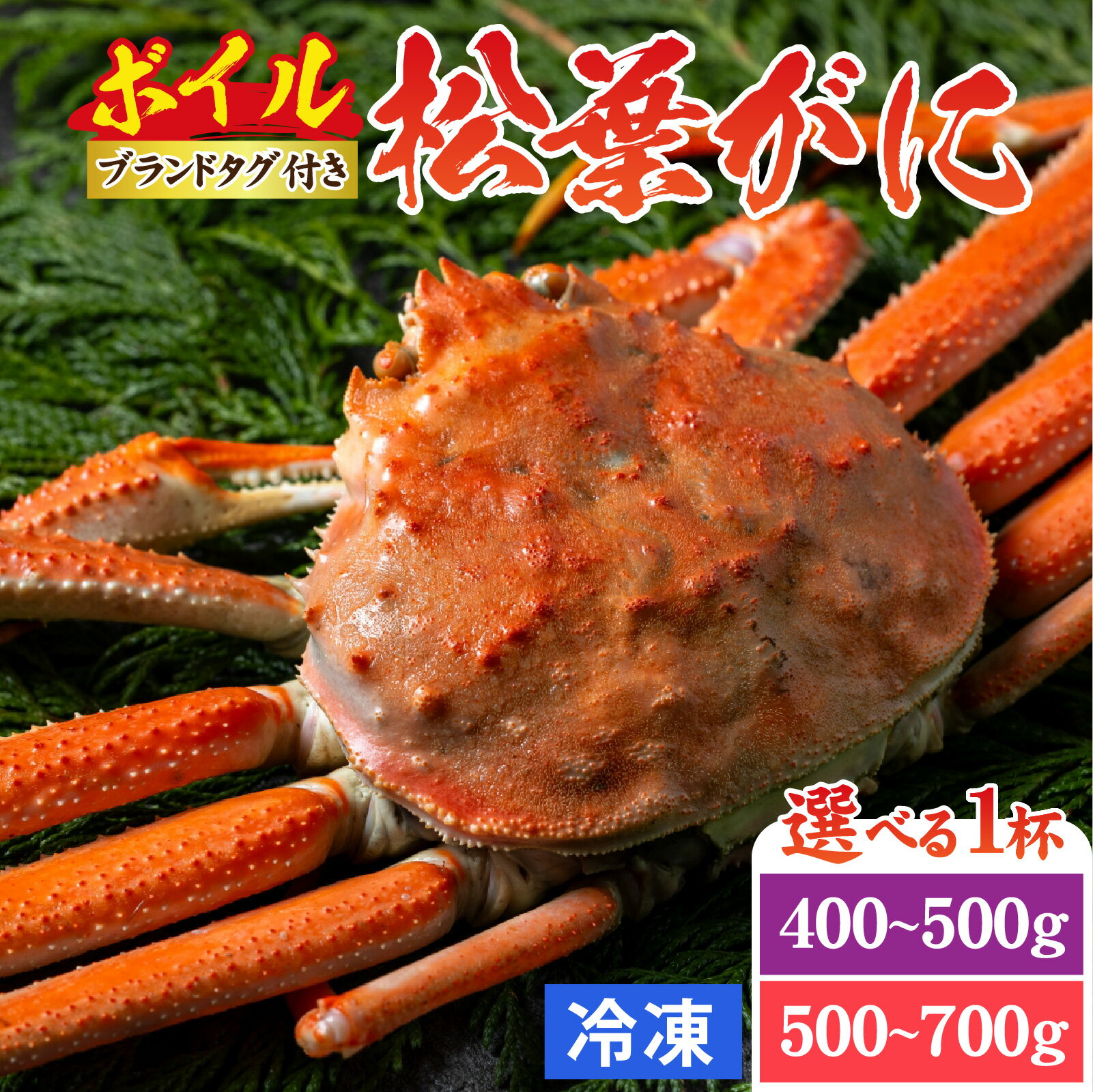 【ふるさと納税】【選べる容量】松葉ガニ (ボイル) ／ 蟹 ズワイガニ 松葉蟹 浜坂漁港 タグ付き 無添加 魚介類 新鮮 塩茹で 上品な甘み 海鮮 海の幸 かに 国産 冷凍 松葉ガニ ずわい蟹 かにみそ 爪 脚 茹で カニ鍋 解禁 ブランド 焼き茹で 蟹刺し 兵庫 冬の味覚