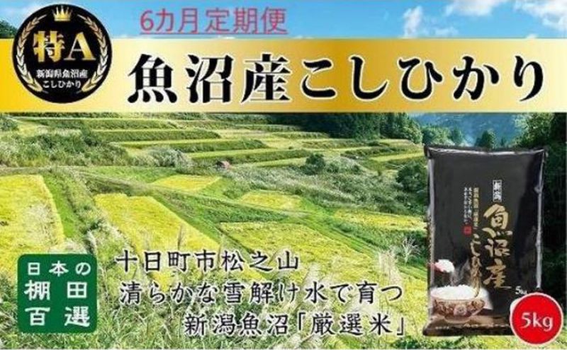 【令和7年産新米予約】【食味鑑定士厳選】6カ月 定期便 日本棚田百選のお米 天空の里 魚沼産 こしひかり 5kg×6回 米 お米 コメ