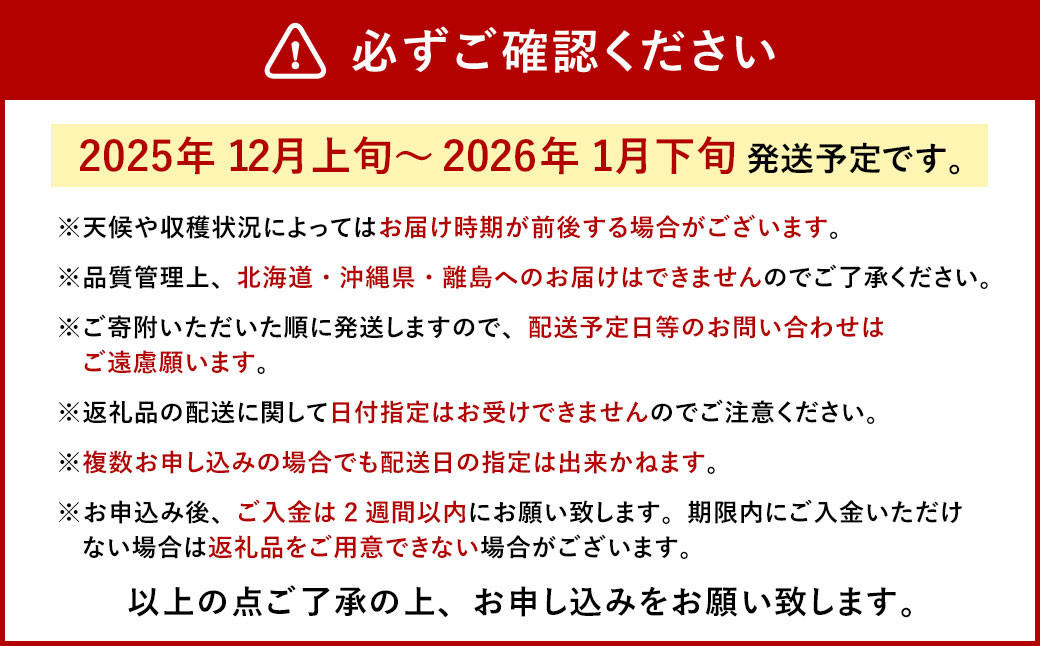 今季初採れあまおう2パック【数量限定】