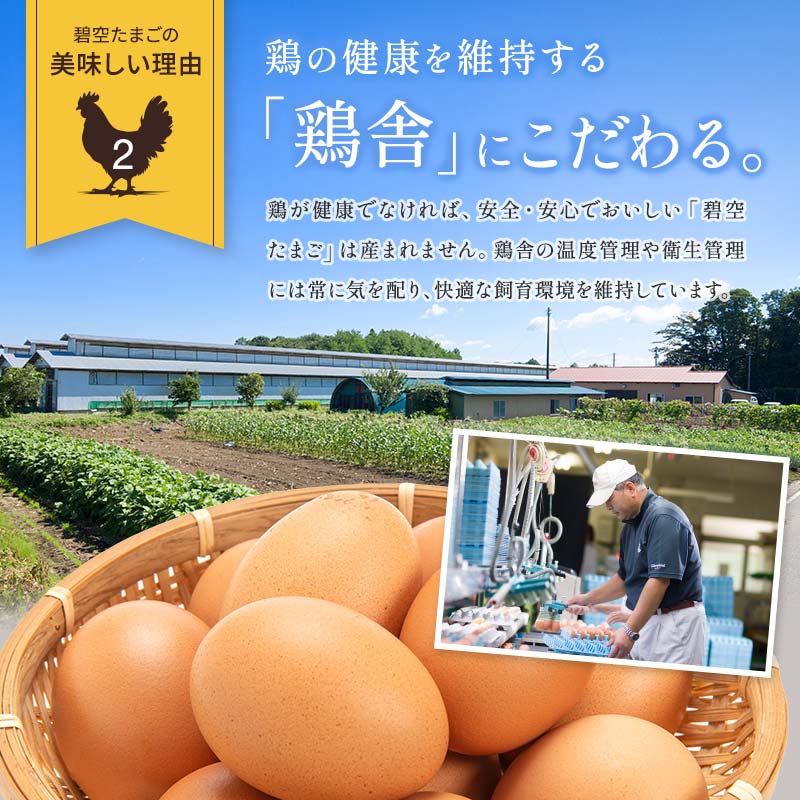 碧空たまご 160個入り Lサイズ タマゴ 卵 玉子 たまご  ゆで卵 たまご焼き 目玉焼き 朝食 食品 F21R-022