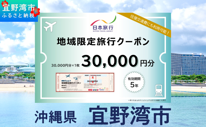沖縄県 宜野湾市 日本旅行 地域限定旅行クーポン (紙券)【30,000円分】 | ふるさと納税 旅行 沖縄 ホテル 旅行券 トラベル ふるさと チケット 宿泊 宿泊券 宿 観光 飛行機 送料無料 リ