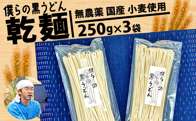 
黒うどん 250g 3袋 750g 乾麺 無農薬 麦 国産 小麦粉 うどん 麺 僕らの黒うどん 僕らの集会所 埼玉県 羽生市
