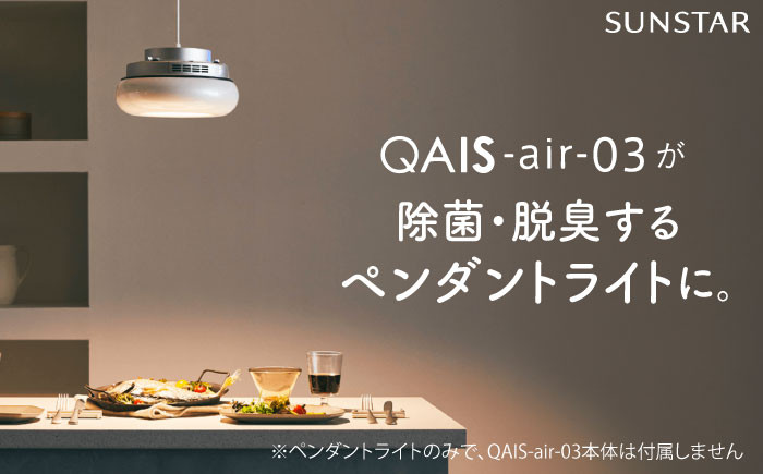
            QAIS -air- 03 専用ペンダントライト〈Pendant Light〉 単品（本体は別売り） 空気清浄機 照明 間接照明 ペンダントライト 家電 除菌 脱臭 消臭 空気清浄機 空間除菌 スタンドライト 照明 電気 ライト 大阪府高槻市/サンスター技研株式会社[AOAF003]
          