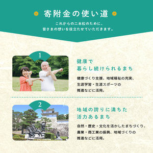 ふるさと応援寄附金 （返礼品なし）3,000円 寄付 福島県二本松市 二本松市 ふくしま 福島県【福島県二本松市】