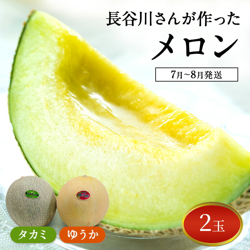 【ふるさと納税】【先行予約2025年産】長谷川さんが作ったメロン2個（ゆうか・タカミ）　7月～8月発送　青森県鰺ヶ沢町産　お届け：2026年7月25日～2026年8月10日