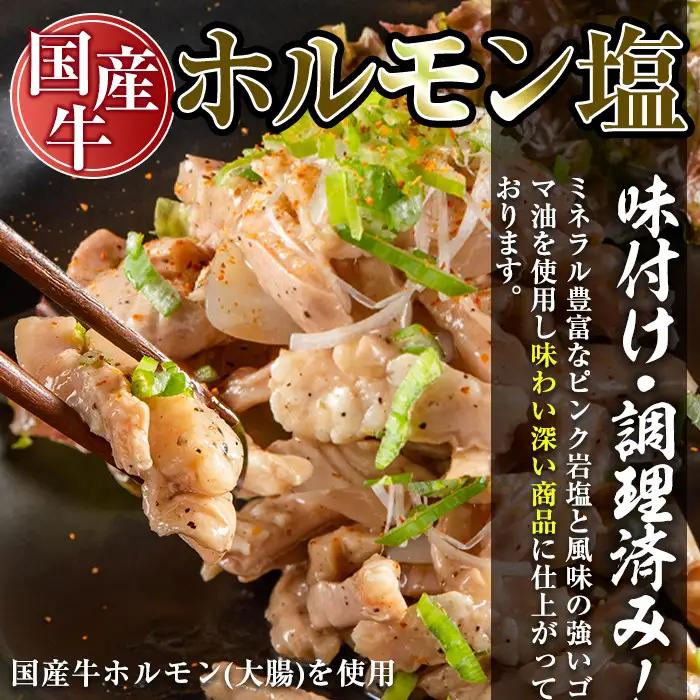 No.795 焼肉アリラン飯店の牛タン塩・国産牛ホルモン塩(合計800g・牛タン100g×4P・ホルモン100g×4P)牛肉 ホルモン 牛タン タン 内臓 大腸 焼肉 お肉 おかず おつまみ 小分け 