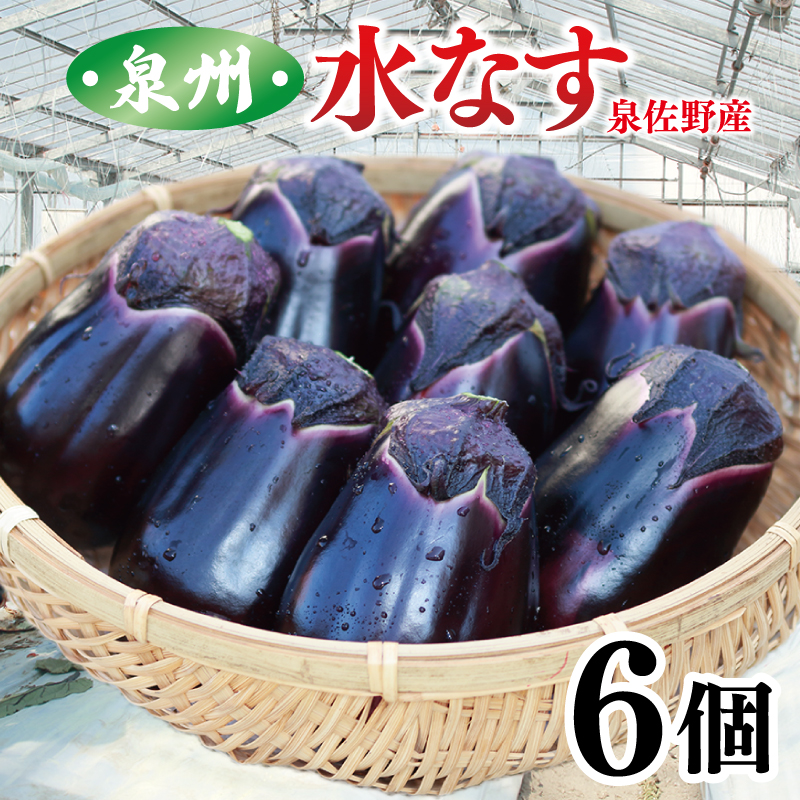 泉州 泉佐野市産 ハウス水なす 6個 夏旬の水なすを冬にどうぞ！【茄子 泉佐野産 とれたて 新鮮野菜 やさい 高評価 数量限定】