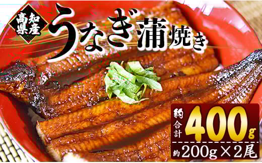 
            うなぎ 国産 2尾 約200g 蒲焼き 鰻 養殖 高知県産鰻 フジ物産 - 鰻 ウナギ かばやき 土用の丑の日 スタミナ 朝食 夕飯 有頭 1万円以上 10000円以上 おつまみ 丼ぶり fb-0139
          