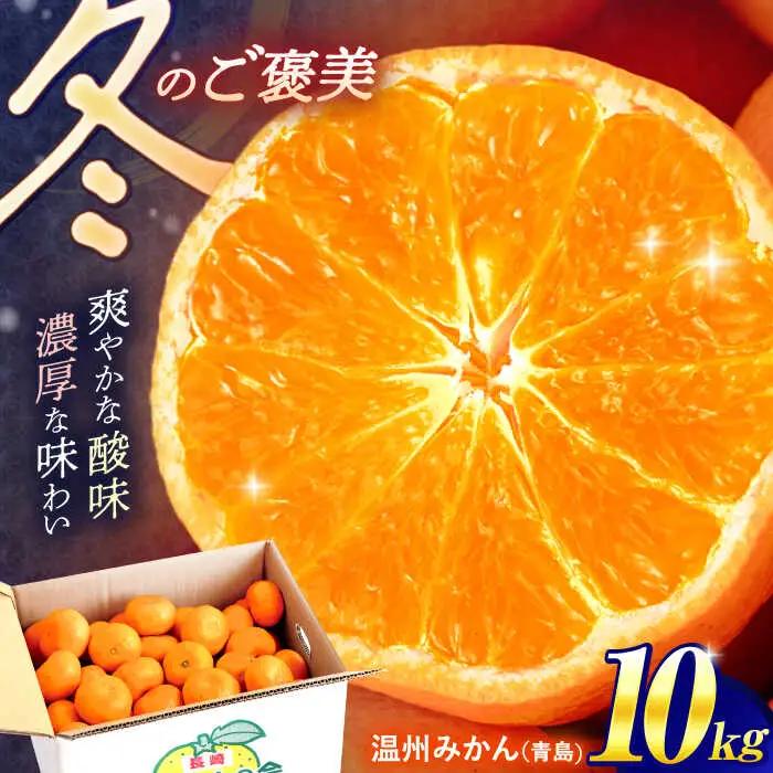 【数量限定】高糖度系 温州みかん(青島) 約10kg[OAF006] ミカン