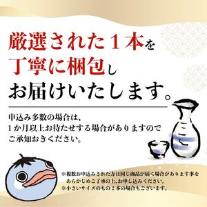 日本酒 おためし便 第2弾 | 日本酒