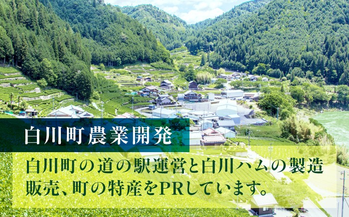 美濃白川茶 新茶セット お茶 おちゃ お茶葉 茶葉 緑茶 新茶 しんちゃ 白川茶 白川町