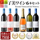 【ふるさと納税】＜受賞ワイン＞了美ワイン6本セット 750ml×6本 赤ワイン 白ワイン ロゼ スパークリング 発泡性 飲み比べ マスカットベーリーA 甲州 アルコール ギフト ワインセット サクラアワード みらいファームやまと【了美ワイナリー】ta425