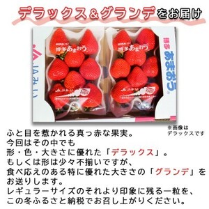 いちご 4パック 博多あまおう デラックス グランデ セット 詰め合わせ おまおう 苺 イチゴ 果物 くだもの フルーツ 旬のフルーツ 季節のフルーツ 旬の果物 季節の果物 福岡 福岡県 小郡市 お申