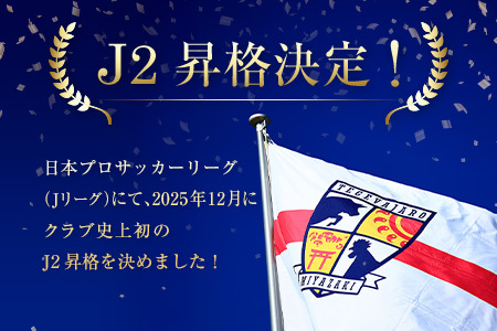 【サッカー 支援】 テゲバジャーロ 宮崎 J2 昇格 応援 1,000,000円 S28-06