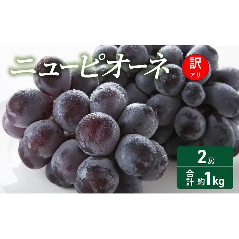 ニューピオーネ ぶどう 訳あり 岡山県産 ニューピオーネ【2房 約1kg】【常温・先行予約】