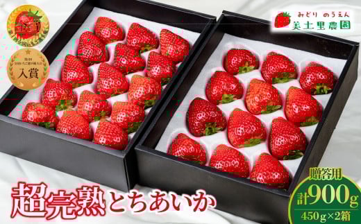 いちご 「茂木完熟いちご」　いちご選手権金賞 とちあいか ギフト 450g × 2箱 合計900g 【3月以降発送】 | いちご イチゴ 苺 とちあいか 第１回いちご選手権金賞 ブランドいちご ストロベリー  完熟 果物 フルーツ くだもの 旬 産地直送 美土里農園 栃木県 茂木町