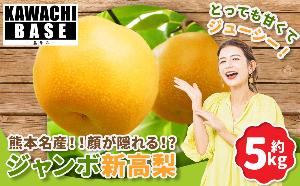 
                  熊本名産！！顔が隠れる！?ジャンボ新高梨 5kg 国産 熊本県産 果物 くだもの フルーツ なし ナシ 梨 ジャンボ ジューシー 【2026年9月上旬発送開始】
                