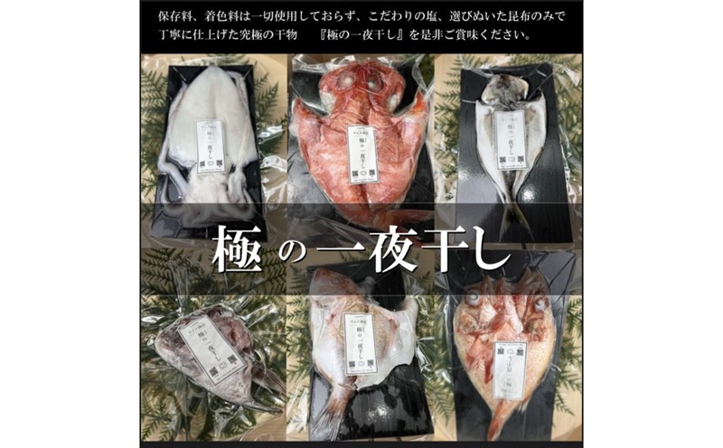ワイズ商店の一夜干し旬魚5種とおすすめ商品詰め合わせ Aセット