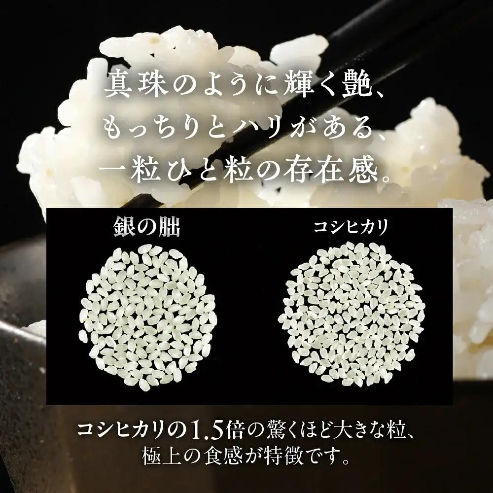 先行予約受付【2026年産米】【2027年6月発送】銀の朏 5kg×1袋 米 ≪テレビで紹介!!幻の米≫【13-12【6】】