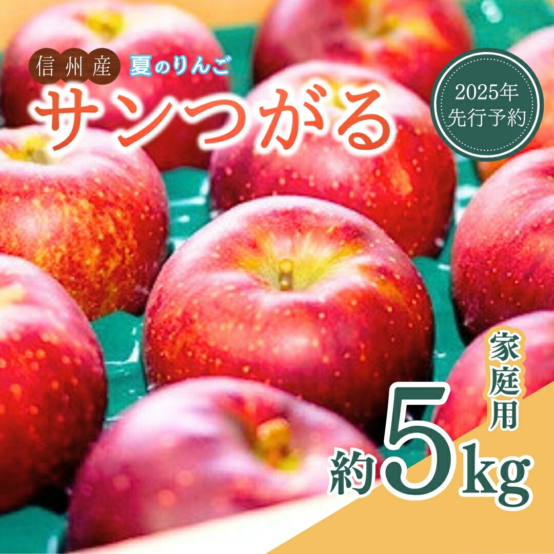 【ふるさと納税】【2025年先行予約】 夏のりんご サンつがる 家庭用 約5kg 訳あり 銀杏ファーム平林 リンゴ 林檎 信州りんご 信州産 長野県産りんご 千曲市 長野県 信州