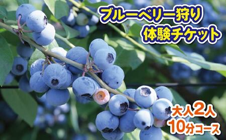 ブルーベリー 狩り 体験 チケット 大人 2人 10分 コース ブルーベリー 狩り ブルーベリー 狩り ブルーベリー