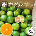 【ふるさと納税】＜先行予約受付中！2025年8月上旬から順次発送＞ 串間市都井「石上農園」自慢のホタル グリーンハウスミカン 5kg（S・2Sサイズ約60個）【石上農園】【AF-A1】