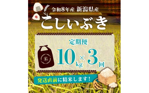 【令和8年産 先行予約】 12月発送 新米 こしいぶき 定期便 10kg 5kg×2袋 3か月 新潟県産 新発田産 3回 3カ月 新潟 ふるさと納税 米 お米 白米 米 お米 こめ コメ ライス ご飯