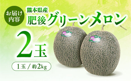 肥後グリーンメロン2玉熊本メロンめろんZCN003