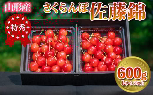 さくらんぼ 「佐藤錦」 600g 特秀品 Lサイズ以上 山形産 【令和7年産先行予約】 FS24-669 くだもの 果物 フルーツ 山形 山形県 山形市 2025年産