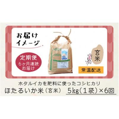 ふるさと納税 滑川市 【毎月定期便】ほたるいか米　玄米　5kg全6回 |  | 03