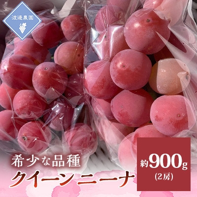 
                  ＜先行予約 2026年発送＞岡山県産　クイーンニーナ 2房 合計約900g【1562286】
                