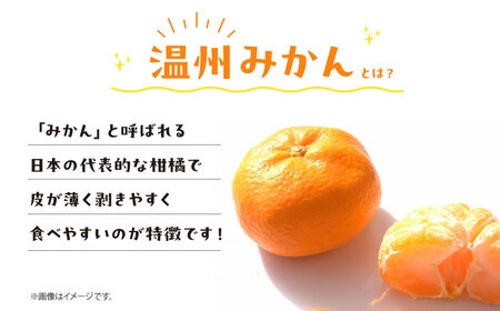 愛媛県産 大人気の手作り「温州みかん」100%ストレートジュース（720ml×2本）　愛媛県大洲市/峯田農園[AGBT023]