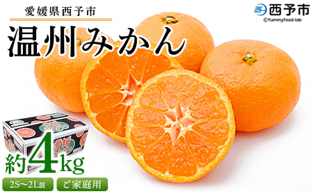 先行予約＜愛媛県西予市産 温州みかん ご家庭用 約4kg＞ 訳あり わけあり 果物 フルーツ みかん ミカン 蜜柑 甘い あまい おいしい 美味しい オレンジ 柑橘 食べて応援 特産品 愛媛県 西予市【常温】『2024年10月中旬～2025年1月中旬迄に順次出荷予定』UUB0001