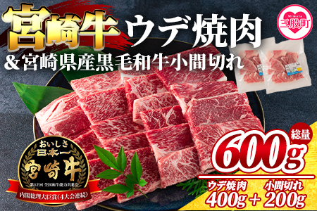 ＜宮崎牛ウデ焼肉と宮崎県産和牛小間切れ 総量600g＞【数量限定】【MI141-my】【ミヤチク】