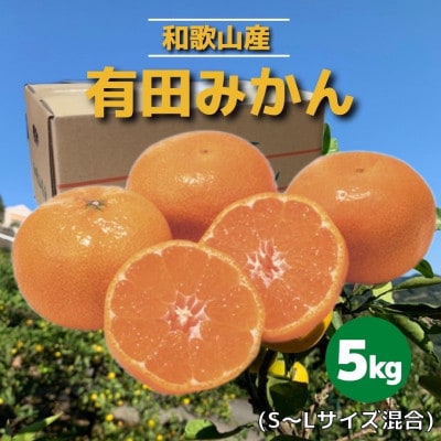 和歌山県産　有田みかん　5kg　秀品【1309706】