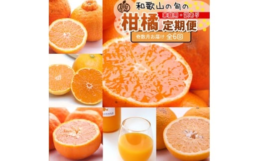 家庭用 柑橘定期便S（奇数月）全6回 ［IKE301］