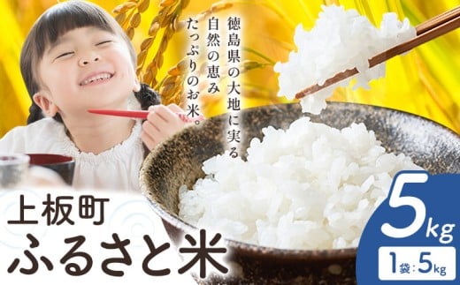 もちもち美味しい！ 上板町ふるさと米 精米 5kg 《10月中旬-11月末頃出荷》徳島県 上板町 お米 米 白米