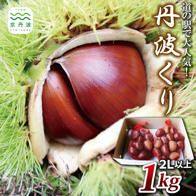 【ふるさと納税】 丹波くり 1kg 【 数量限定 道の駅で大人気の丹波栗 】京都 国産 京丹波町産 丹波 和栗 熟成 栗 くり 甘い 栗ごはん 秋の味覚 ※北海道・沖縄・その他離島はお届け不可 [010MN001L]