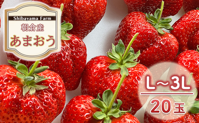 いちご 朝倉市産 あまおう L～3L 20玉 イチゴ 苺 果物 デザート ＜Shibayama Farm＞ ※配送不可：離島 