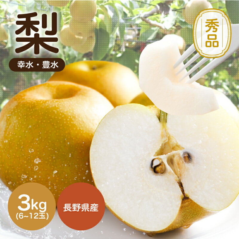 【ふるさと納税】溢れる果汁 ジューシーな梨(幸水・豊水) 約3kg 秀品〈2025年8月下旬～9月下旬発送〉| 果物 くだもの フルーツ 梨 和梨 幸水 豊水 長野県 信州 南信州 飯田市 B26
