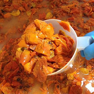 ふるさと納税 香取市 香取市産　酵素酢 柿の神髄　ギフト缶レギュラー(500ml×1本入・贈答可) |  | 03