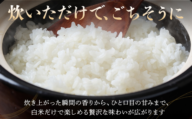 令和7年産 米 お米 コシヒカリ うまかん米 10kg JAおやま《30日以内に出荷予定(土日祝除く)》 栃木県 野木町産 コメ 米 ブランド米 こしひかり【栃木県共通返礼品】