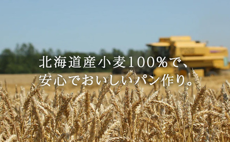 キタノカオリブレンド 1kg（250g×4） 北海道 小麦粉