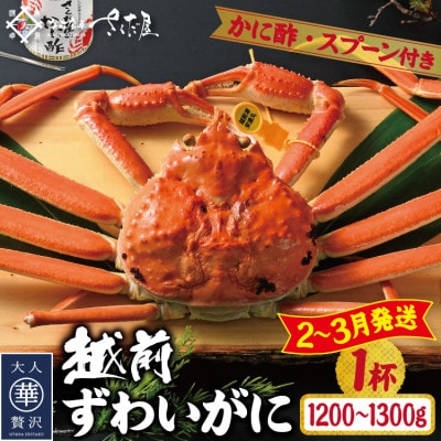 【2～3月発送】浜茹で越前ずわい約1200～1300g　1杯　かに酢＆かにスプーン付き【配送不可地域：離島】【1508764】
