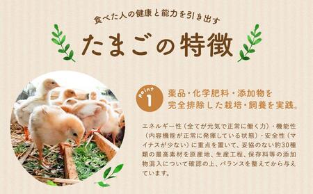 【食べチョクアワード2025 畜産部門 1位の日本一のたまご】単なる平飼いではない究極の卵『わたしたちのぷらいどたまご』6パック（60個）セット