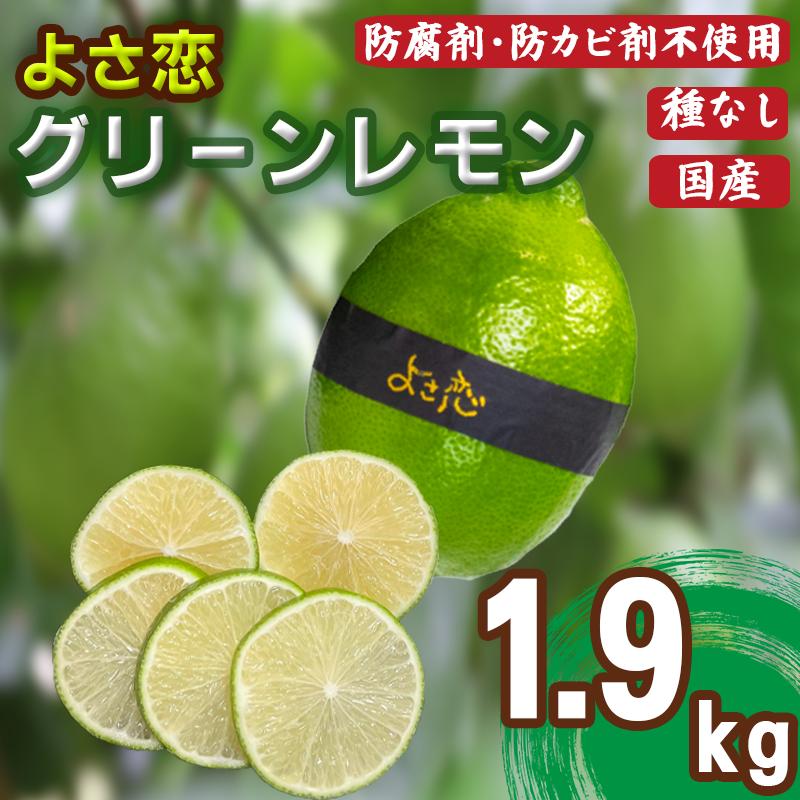 
            種無し よさ恋グリーンレモン 10~12個入 約1.9kg 家庭用 レモン 防腐剤 不使用 レモン 檸檬 国産 新鮮 国産檸檬 国産レモン 果物 くだもの 希少 高級 健康 フルーツ 産地直送 数量限定 高知県 須崎市
          