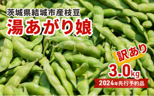 
【先行予約・訳あり】茨城県結城市産枝豆「湯あがり娘」3kg（茶豆味） [№5802-0962]
