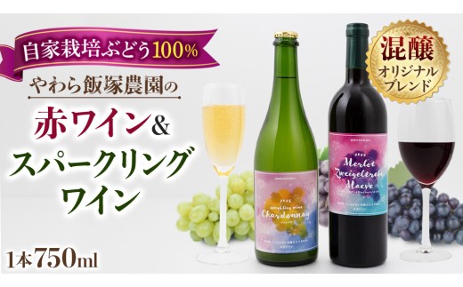 地元農家が作る つくばみらい市産 ぶどう を使った 赤ワイン・スパークリングワイン各1本 計2本セット ワイン お酒 酒 フルーツ 果物 果実酒 ブドウ おつまみ 贈り物 お取り寄せ プレゼント 記念日
